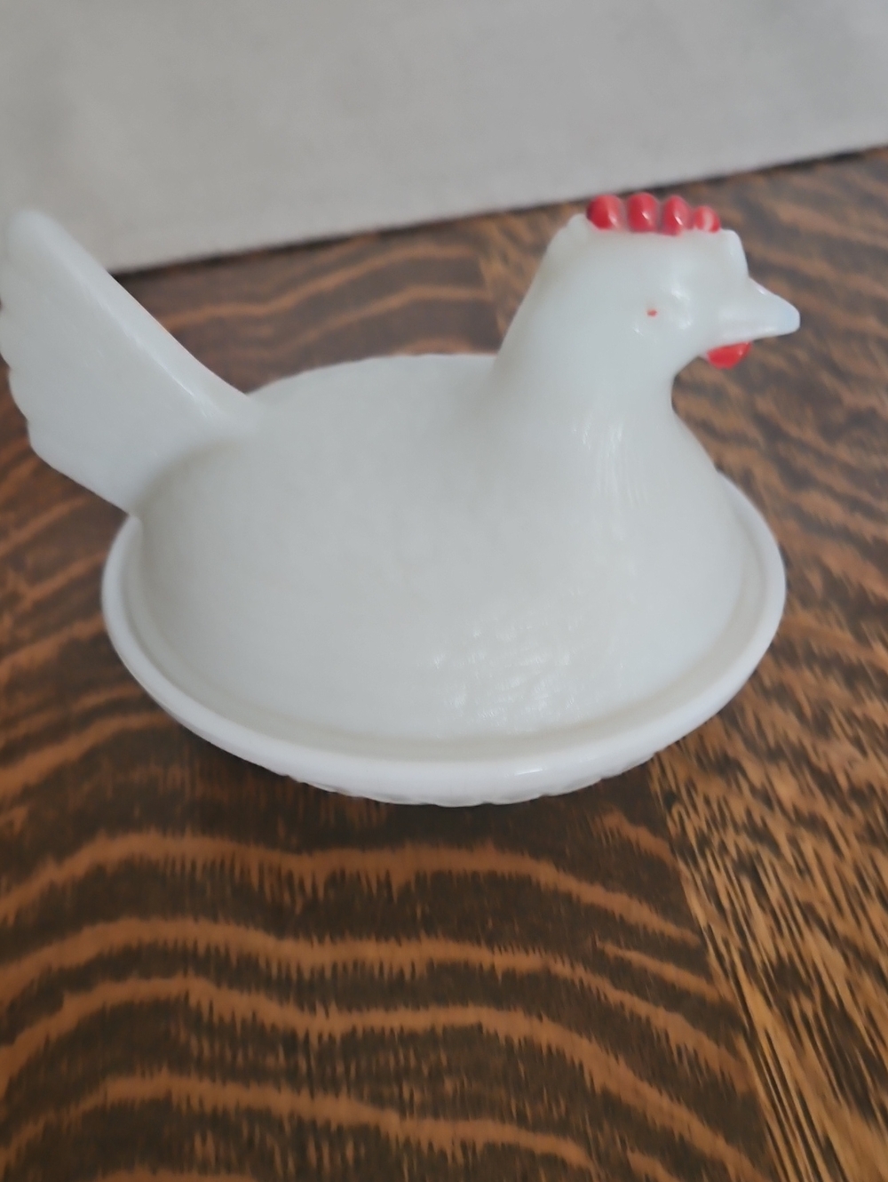 White Hen On Nest.